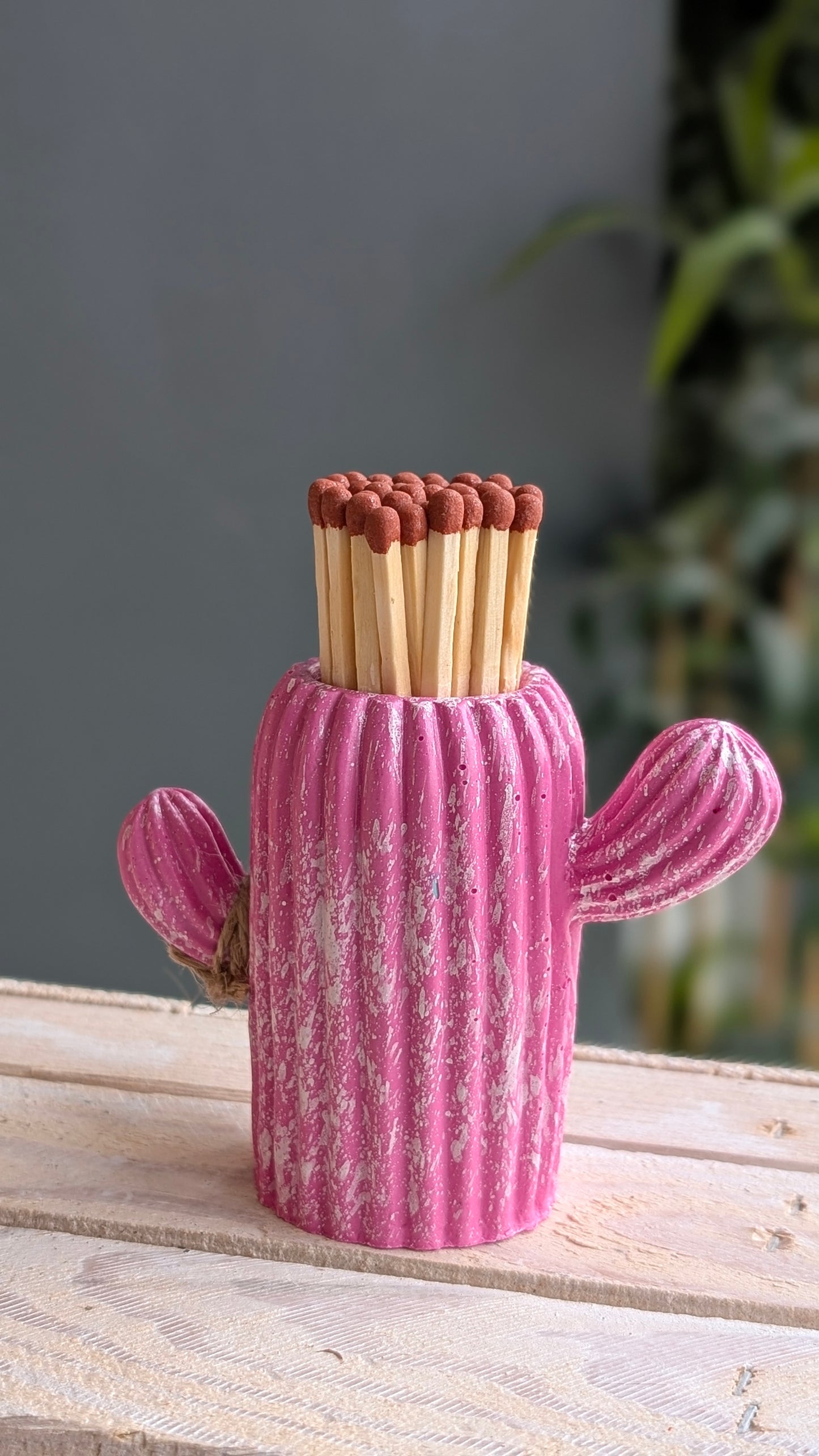 Pink Marbled Cactus Match Jar