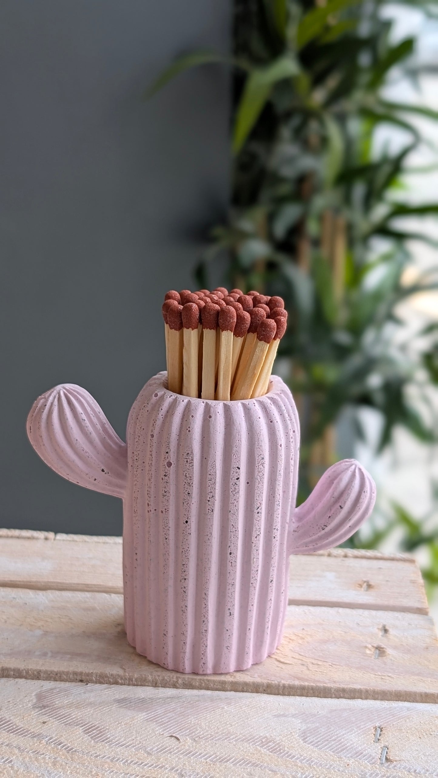 Clive the Baby Pink Cactus Match Jar