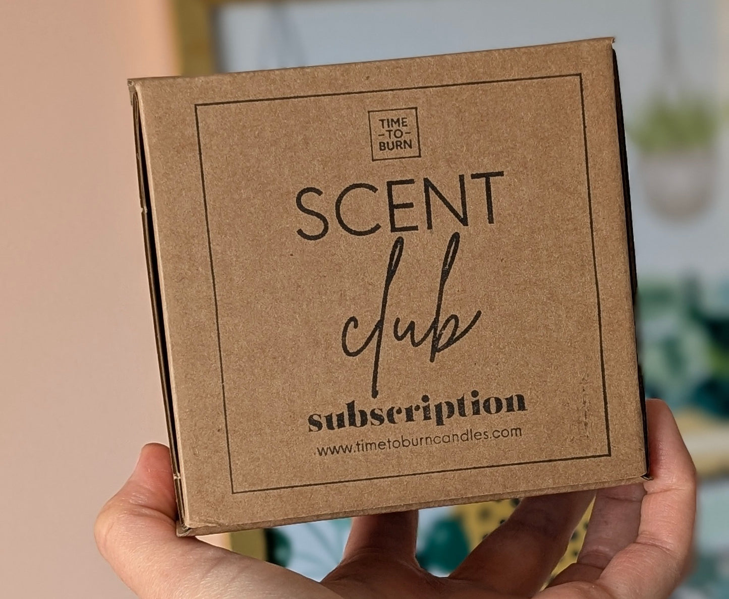 Tealights - Monthly Subscription