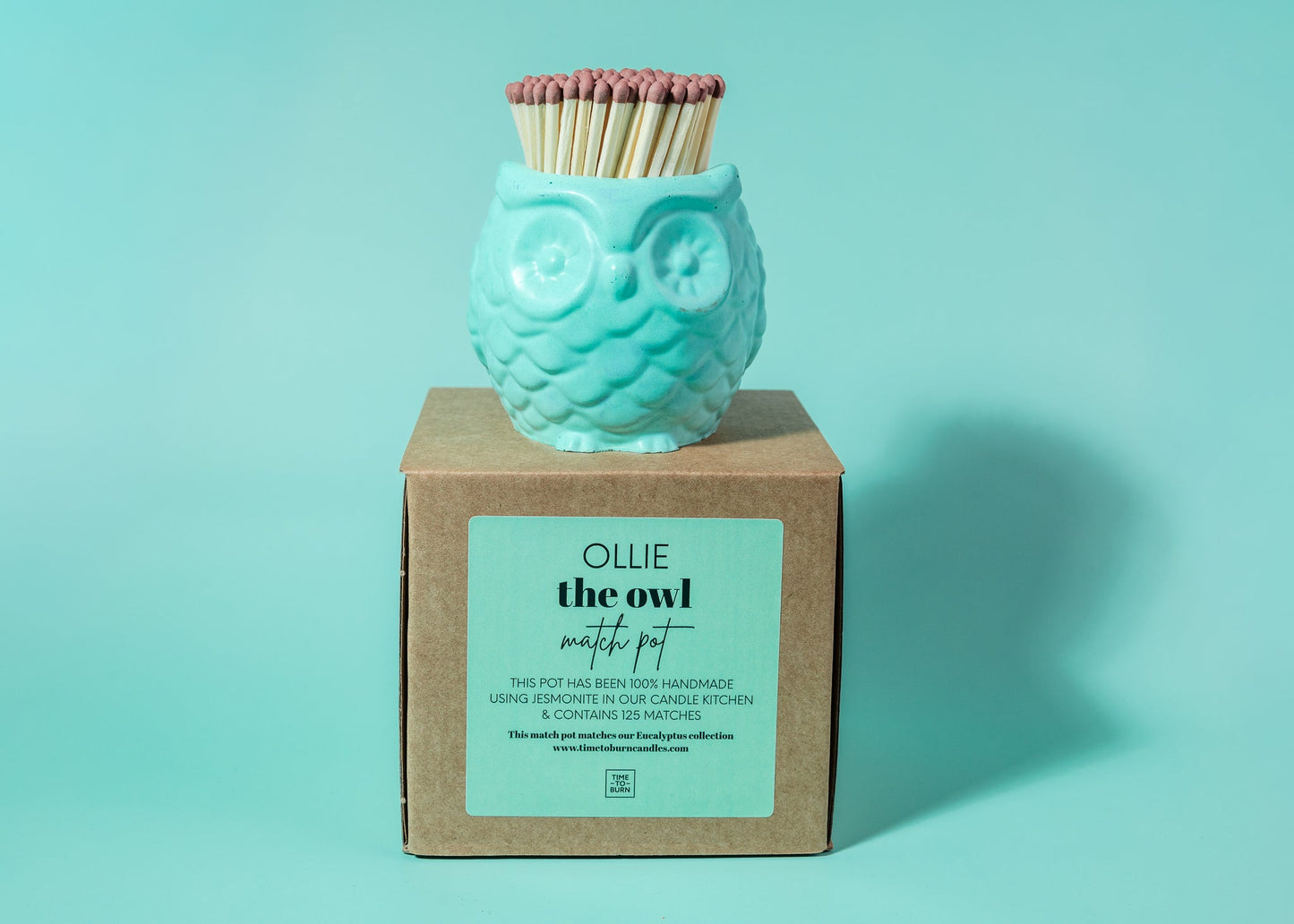 Ollie Owl Match Jar - Mint Green - Matches