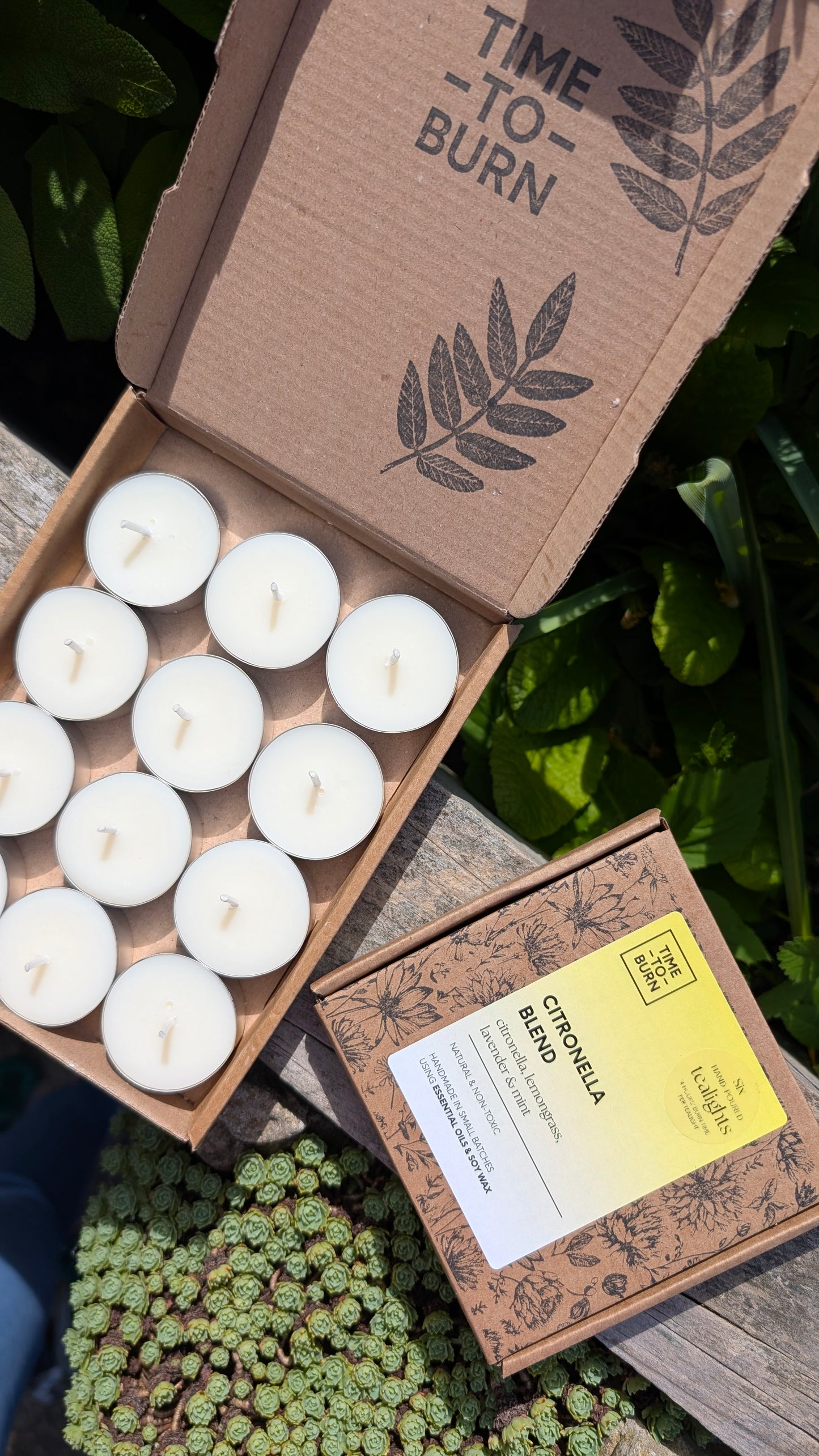 Citronella, Mint, Lemongrass & Lavender Tealights