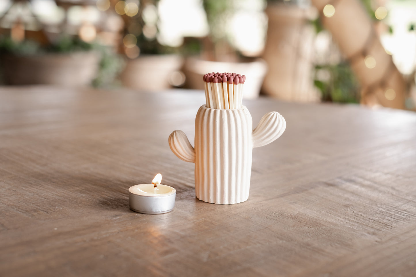 Stone Coloured Cactus Match Pot
