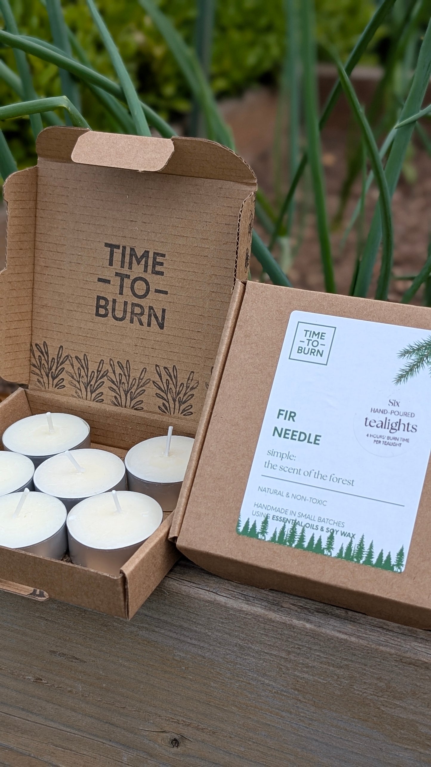 Fir Needle Tealights