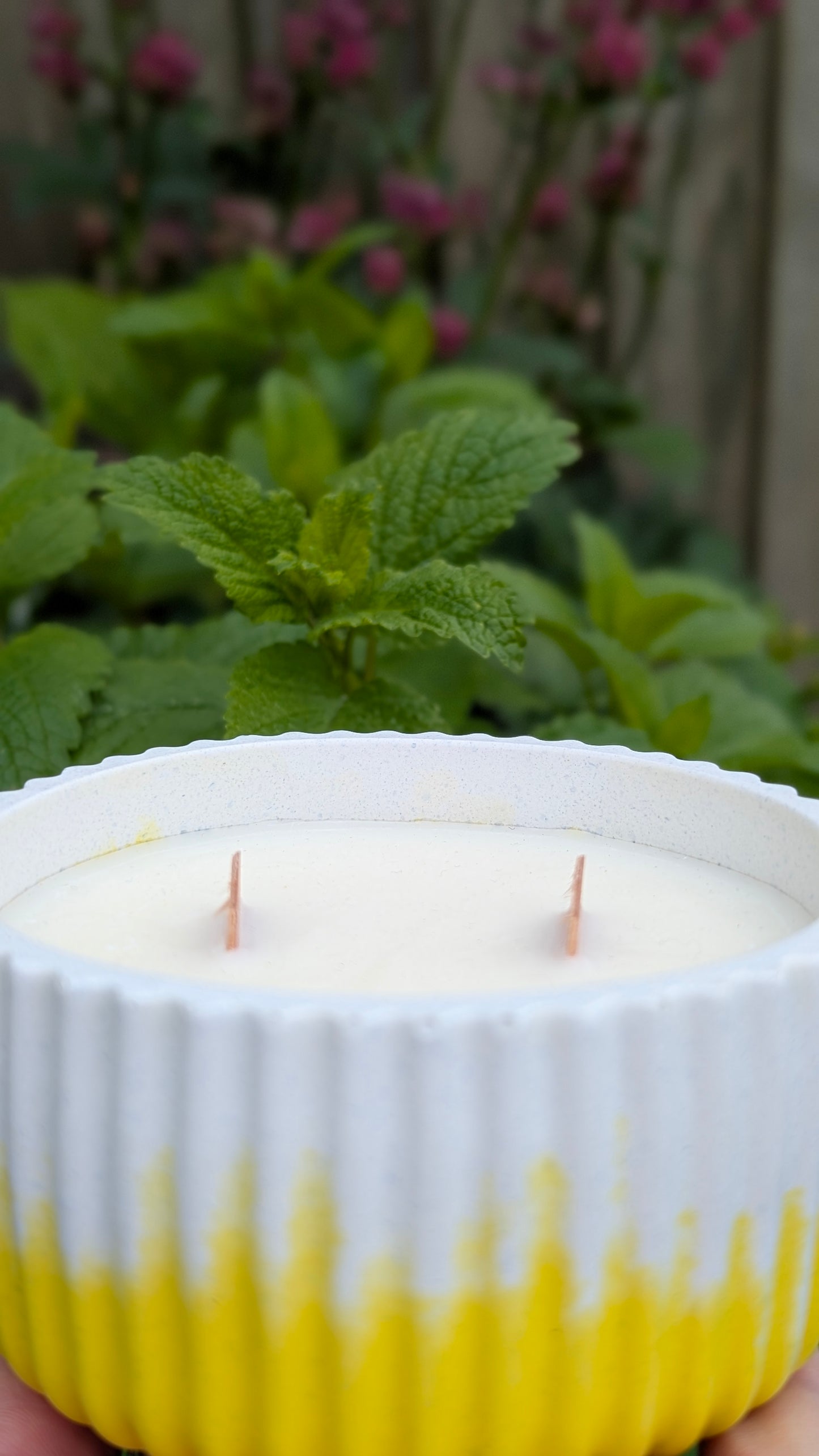 Citronella, Mint, Lemongrass & Lavender Candles