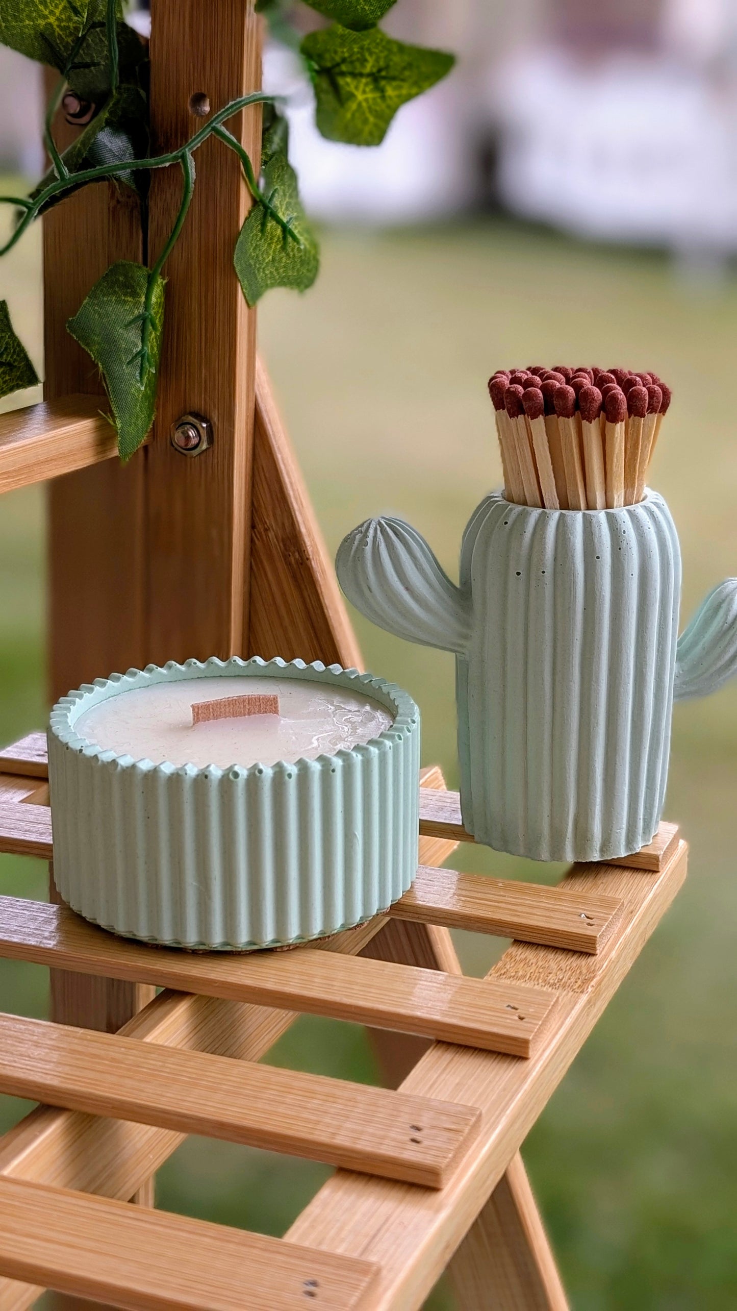 Eucalyptus, Rose Geranium, Lavender & Cedar Candle & Matching Green Cactus Match Pot - Gift Box