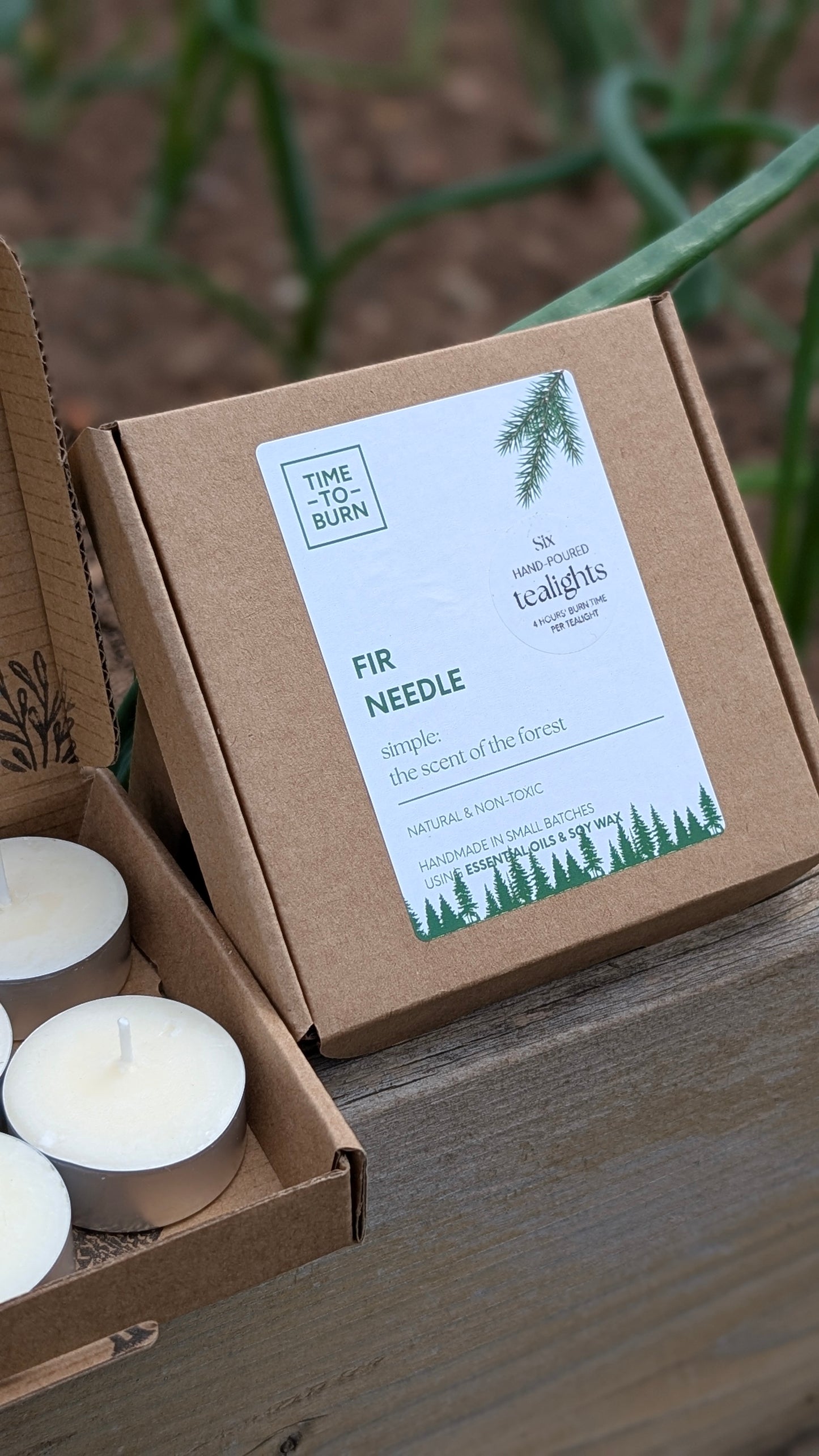 Fir Needle Tealights