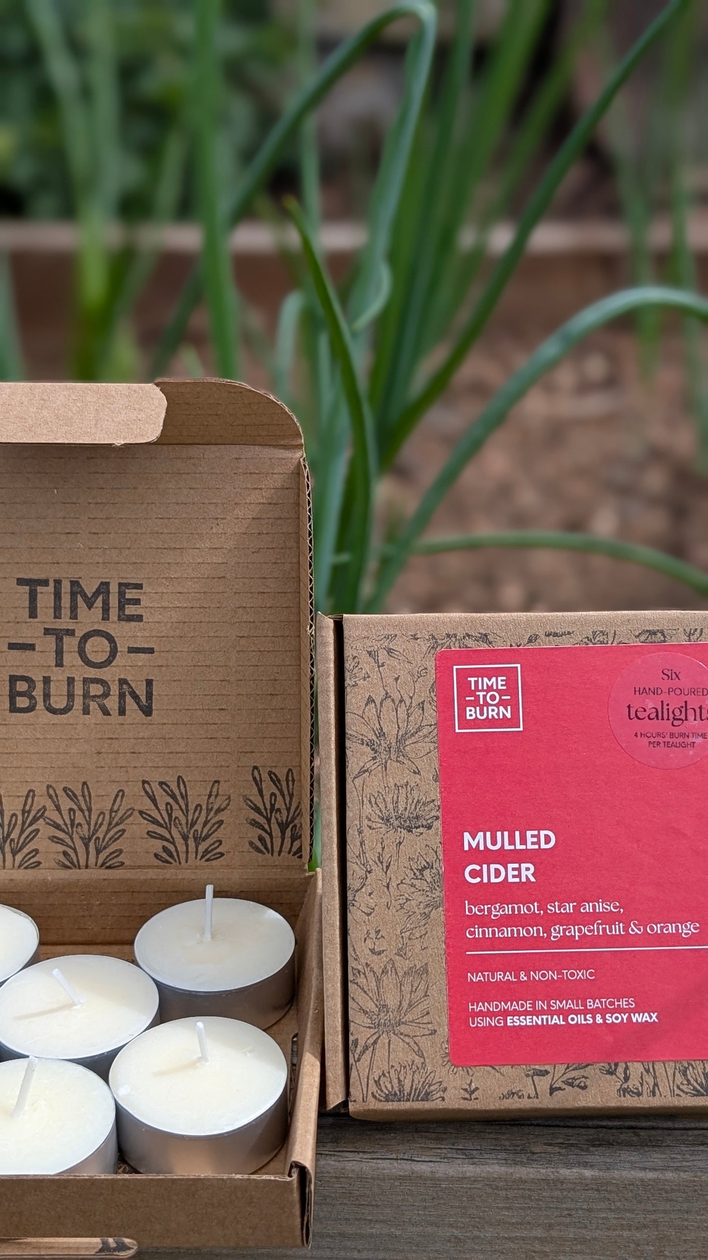 Mulled Cider Tealights - Bergamot, Star Anise, Cinnamon, Grapefruit & Orange
