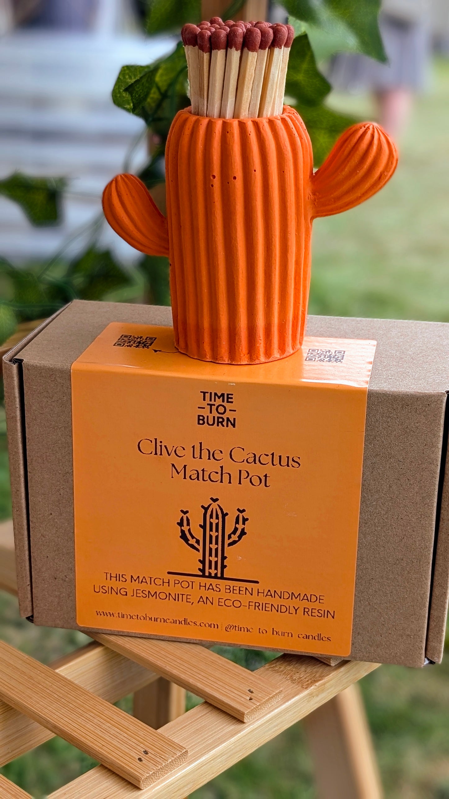 Orange Cactus Match Pot