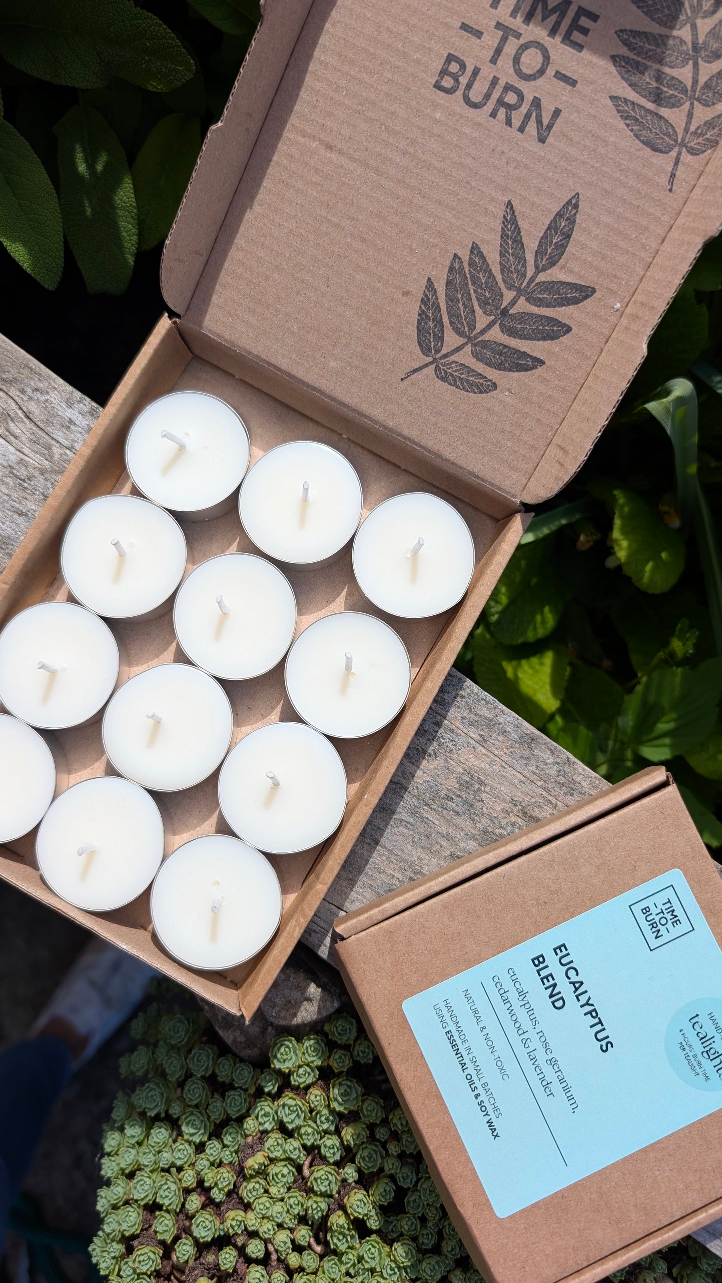 Eucalyptus, Rose Geranium, Cedarwood & Lavender Tealights