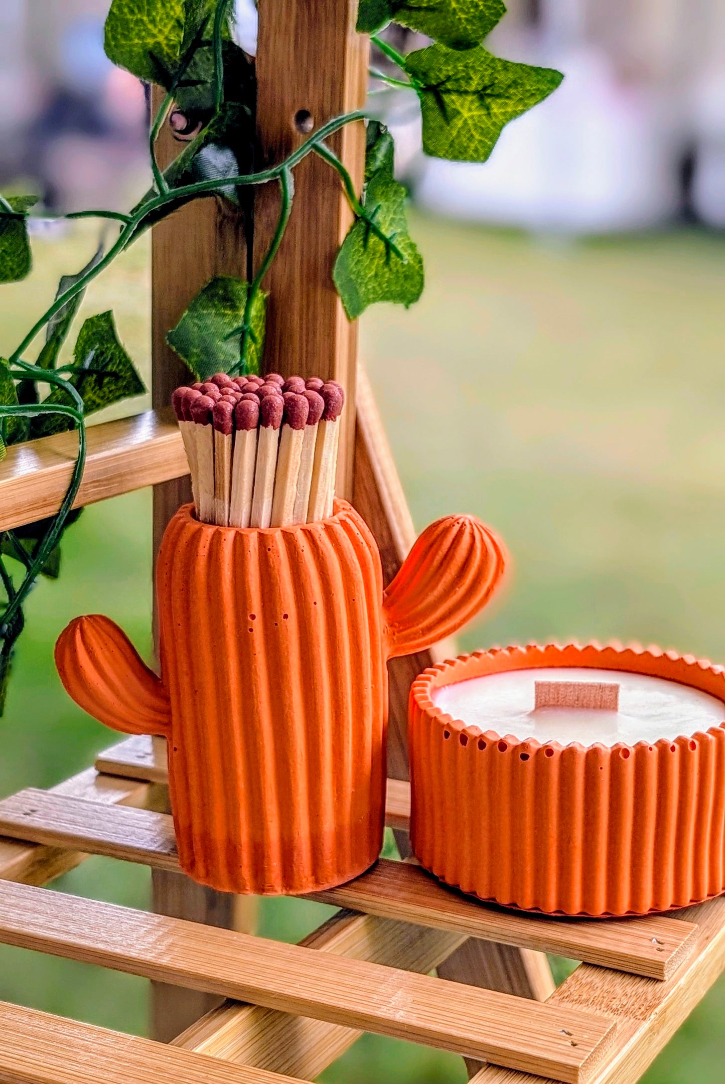 Bitter Orange, Grapefruit, Lime & Cypress Candle & Matching Orange Cactus Match Pot - Gift Box