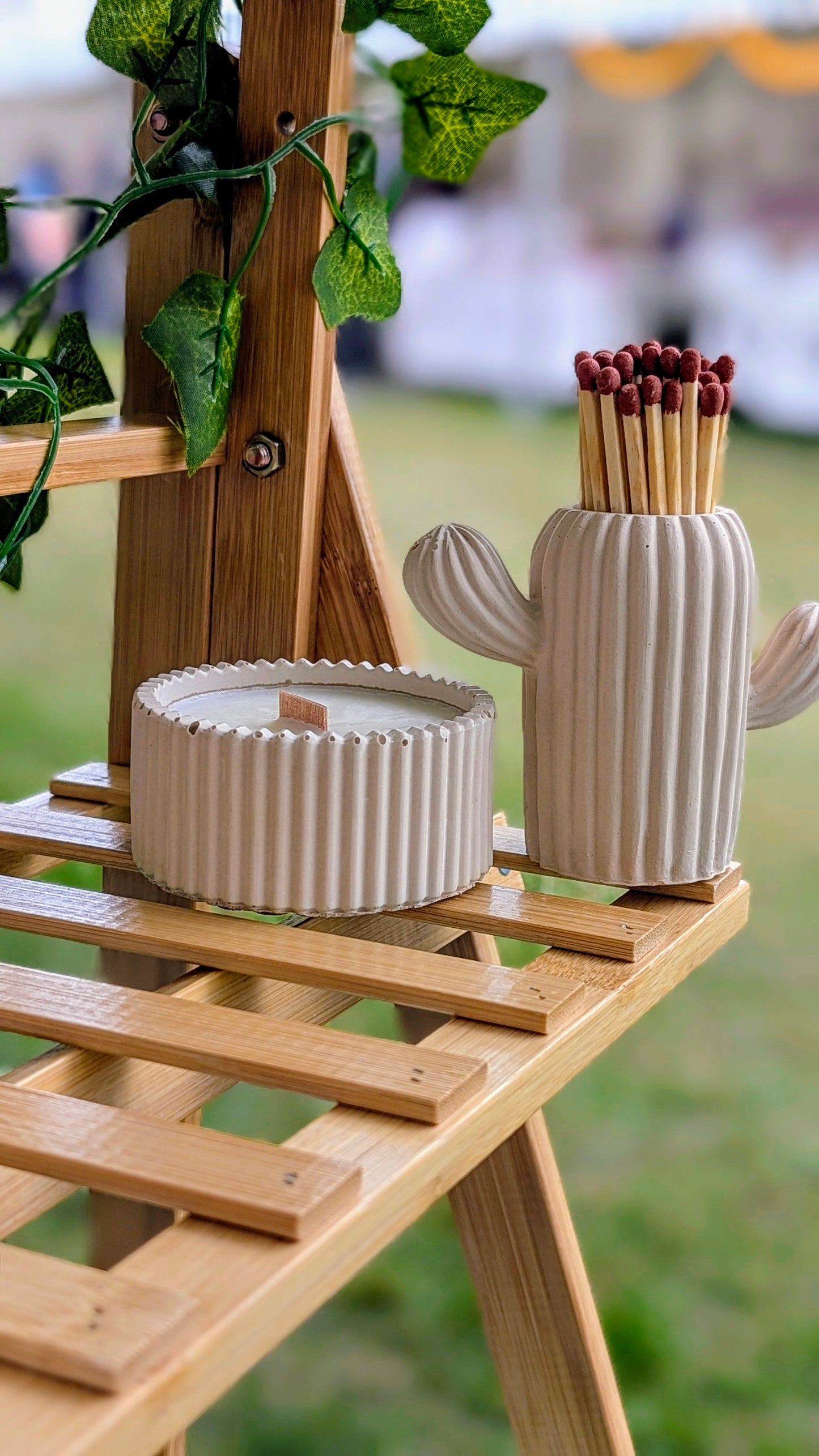 Sandalwood, Black Spruce & Sage Candle & Matching Stone Coloured Cactus Match Pot - Gift Box