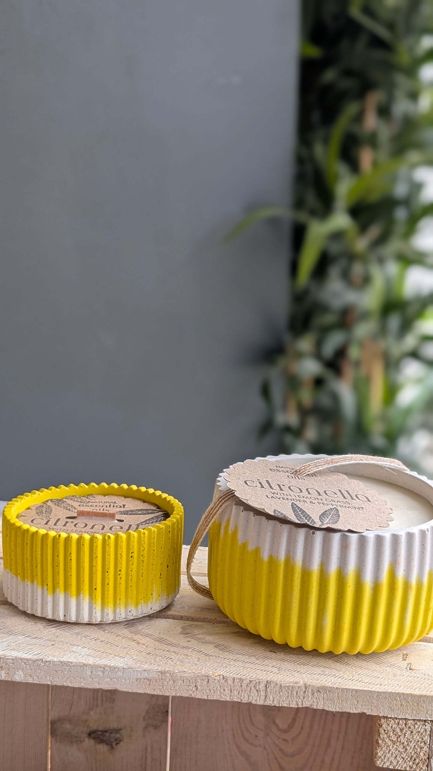 Citronella, Mint, Lemongrass & Lavender Candles