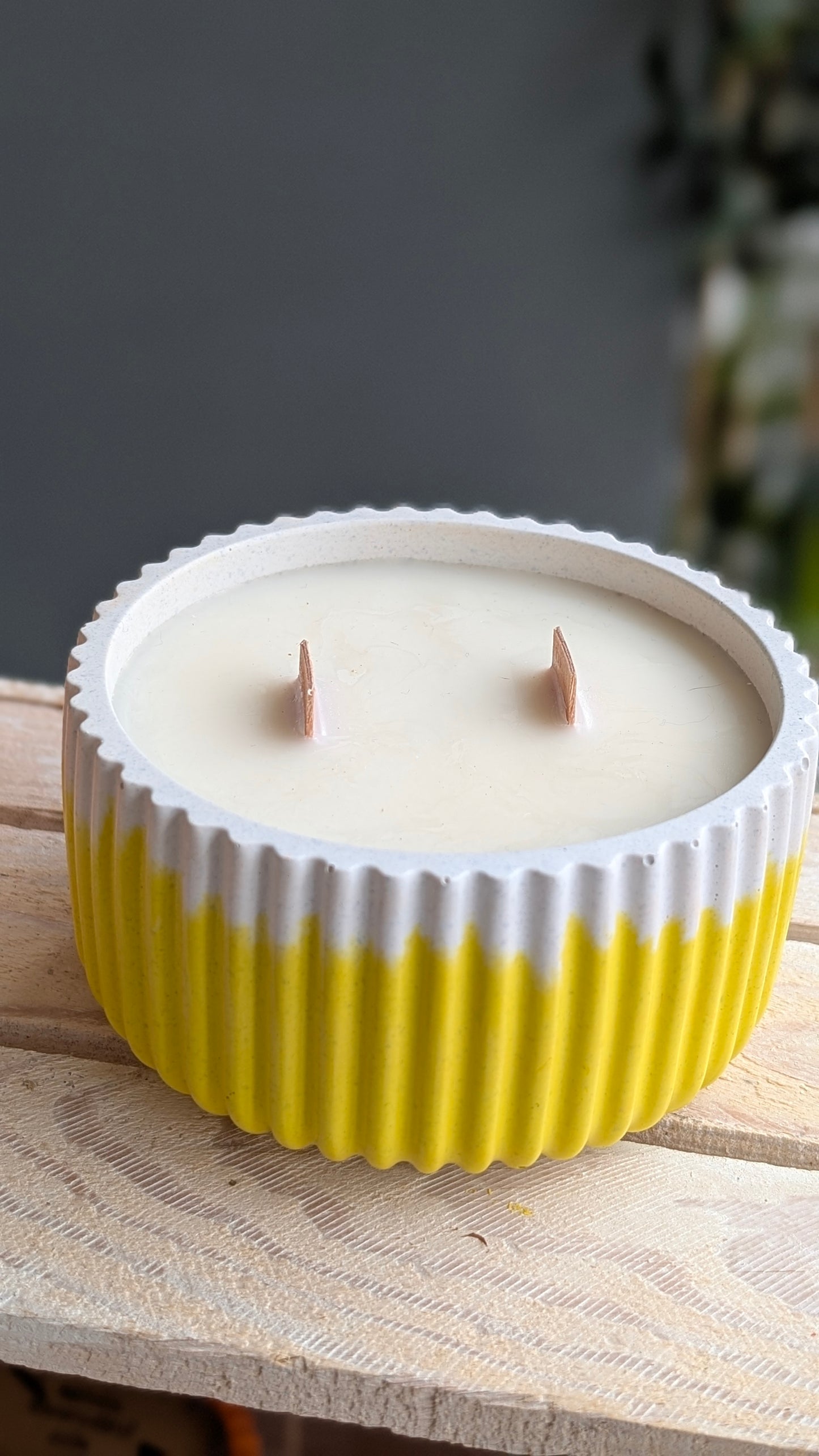 Citronella, Mint, Lemongrass & Lavender Candles