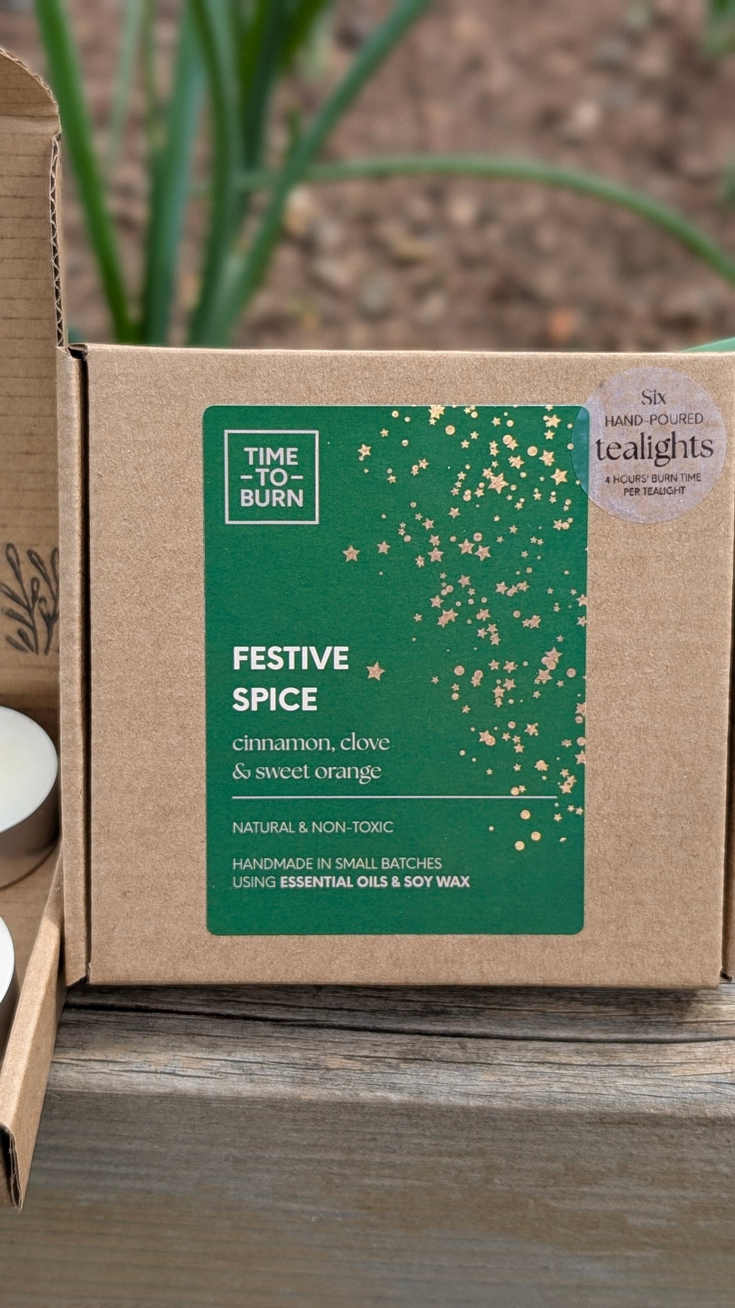 Festive Spice Tealights - Cinnamon Bark, Clove & Sweet Orange