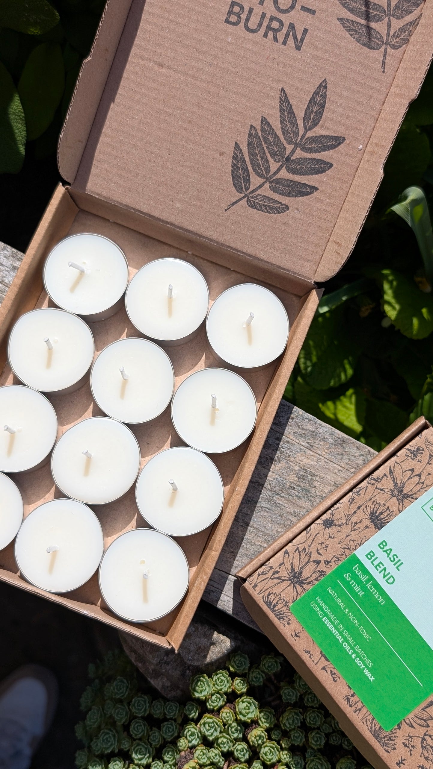 Basil, Lemon & Mint Tealights