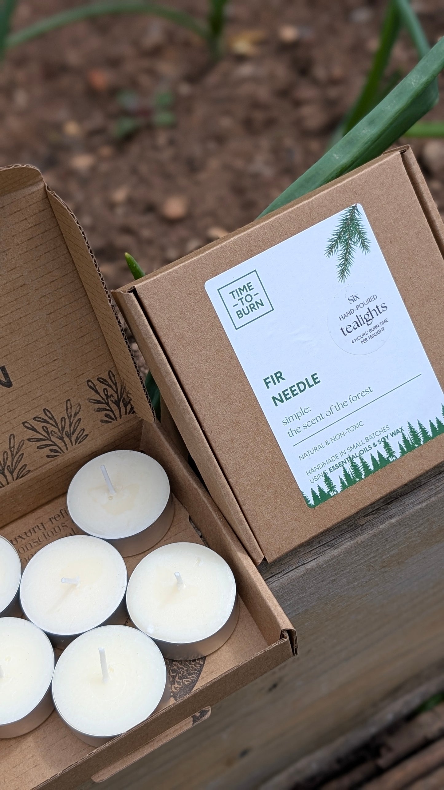 Fir Needle Tealights