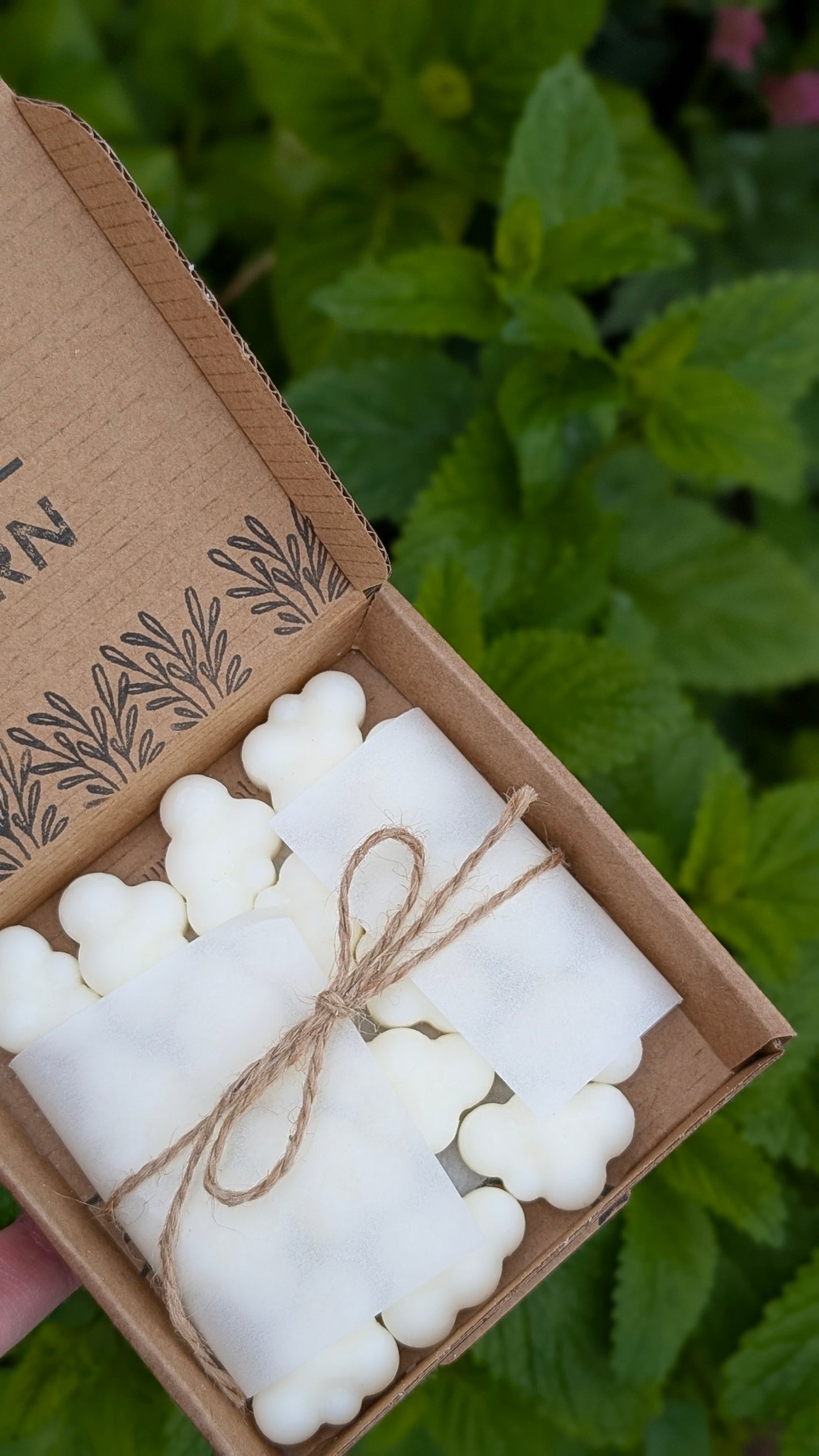 Citronella, Lemon, Lavender & Mint Wax Melts