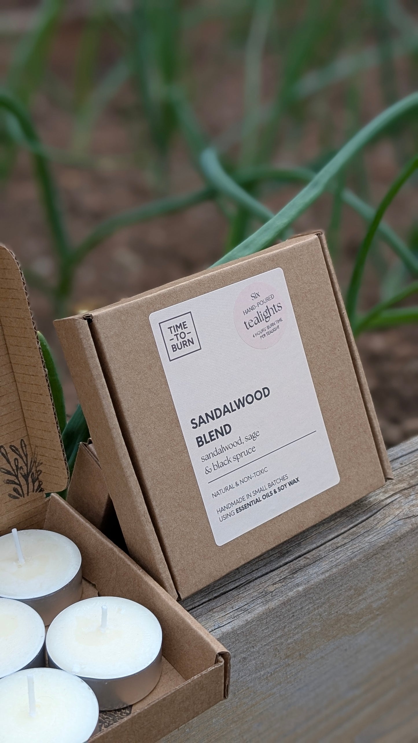 Sandalwood, Black Spruce & Sage Tealights