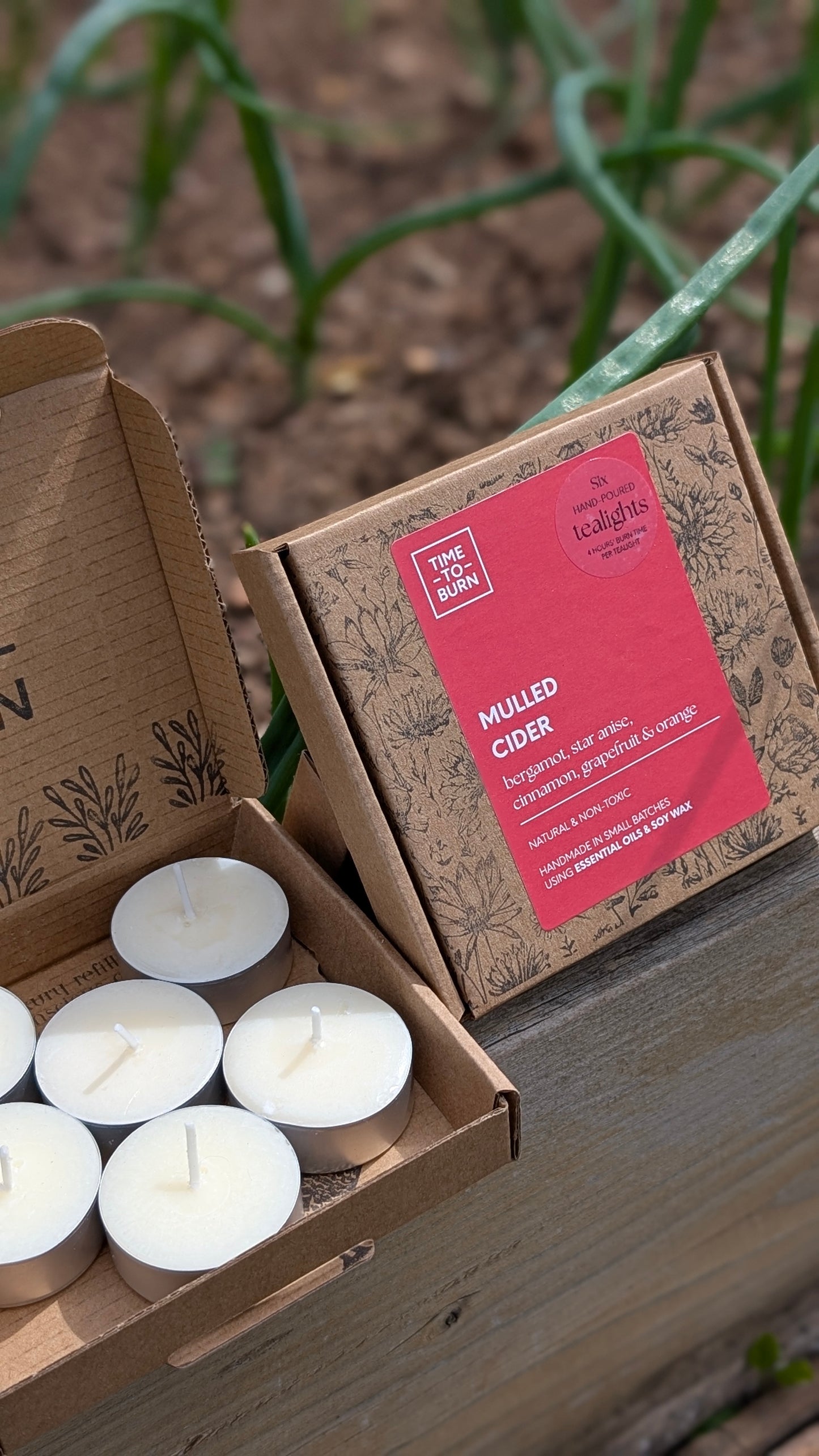 Mulled Cider Tealights - Bergamot, Star Anise, Cinnamon, Grapefruit & Orange
