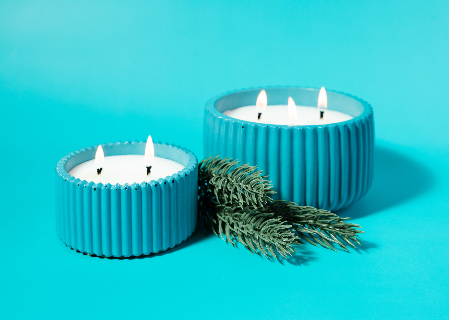 Beyond the Pine: Fir Needle + Cedar Blend