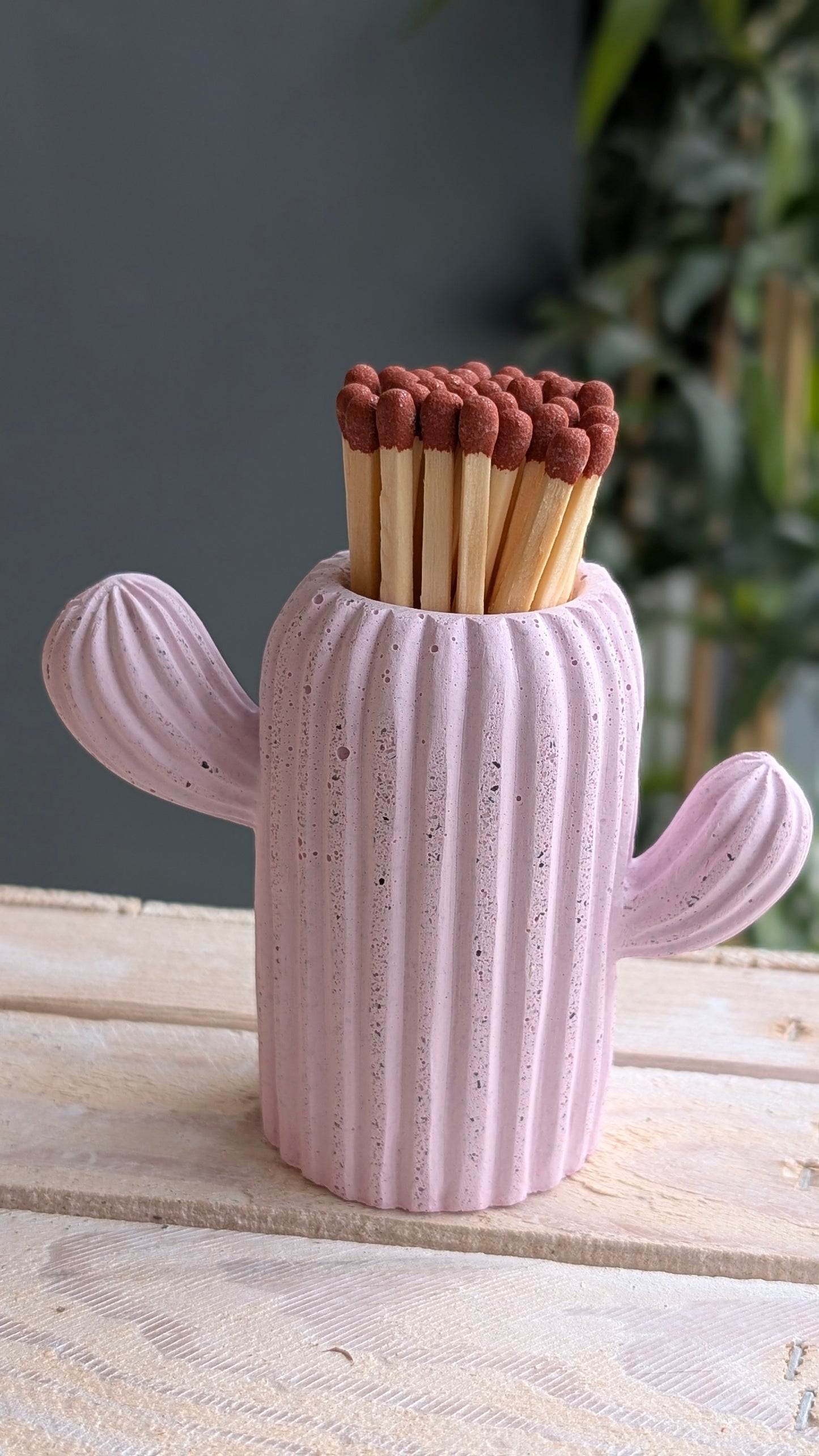 Baby Pink Cactus Match Jar