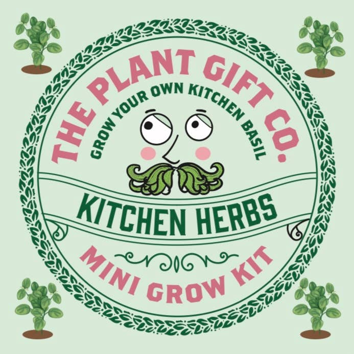 Mini Herb Growing Kit - Basil