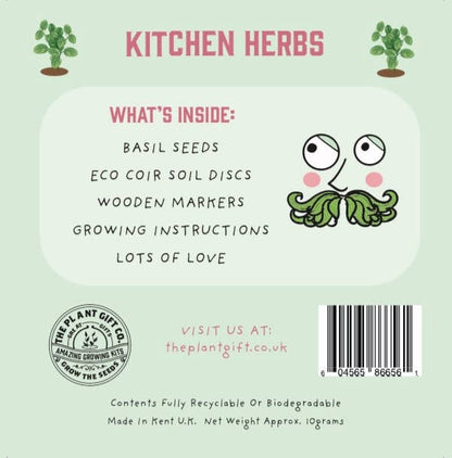 Mini Herb Growing Kit - Basil