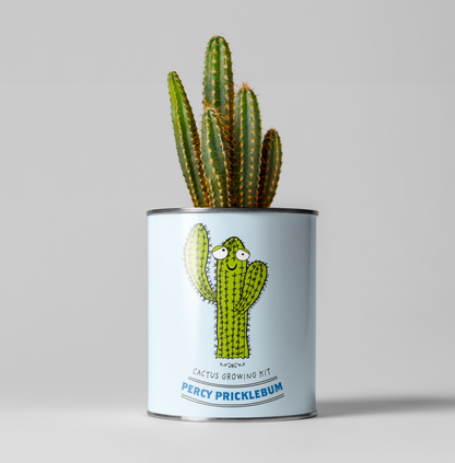Percy Pricklebum. Grow Your Own Cacti Kit, Gardening Gift