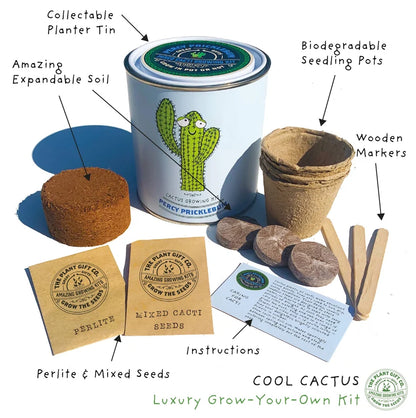 The Cactus Lover's Box: A Large Handmade Gift Box