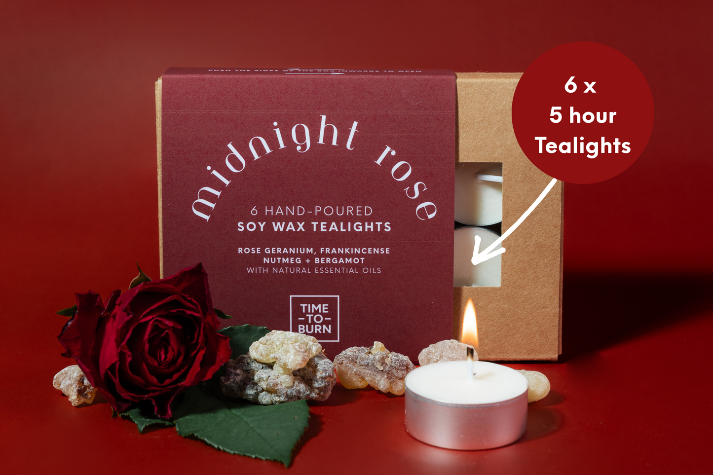 Owl at Midnight: Large Gift Box