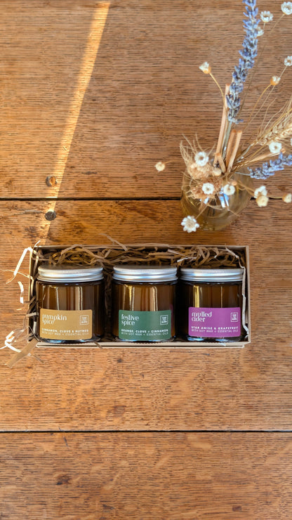 Mulled Cider Every Day Candle | 25 Hour | Star Anise, Orange and Grapefruit