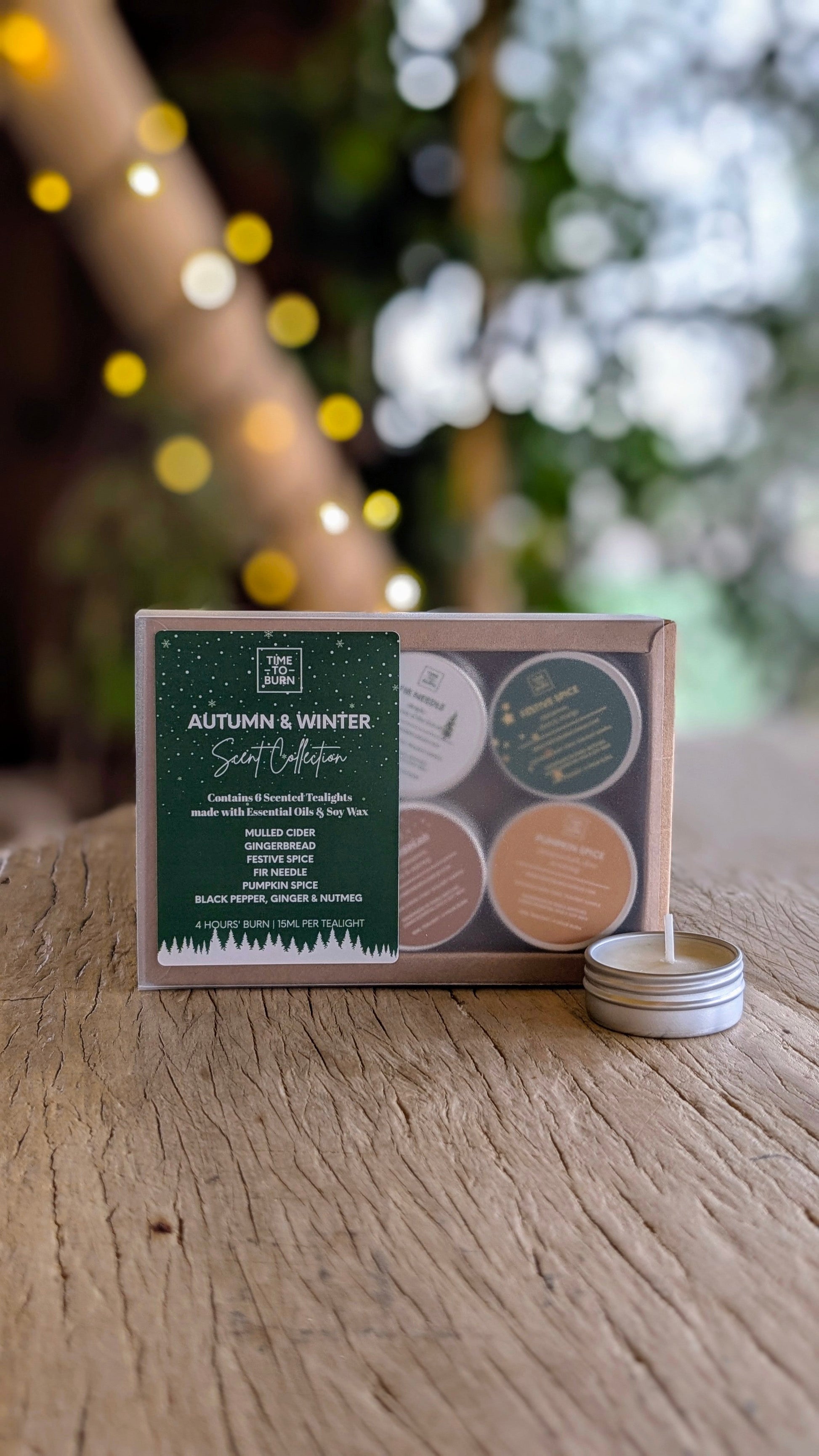 Autumn - Winter Discovery Collection