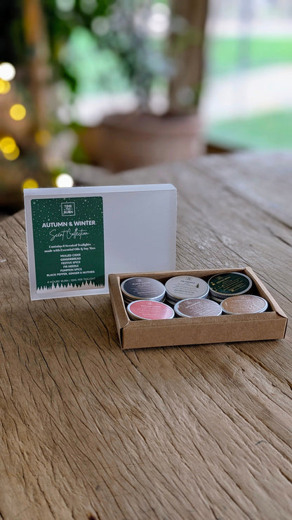 Autumn - Winter Discovery Collection