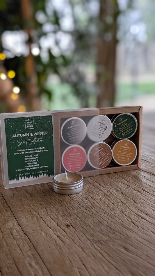 Autumn - Winter Discovery Collection