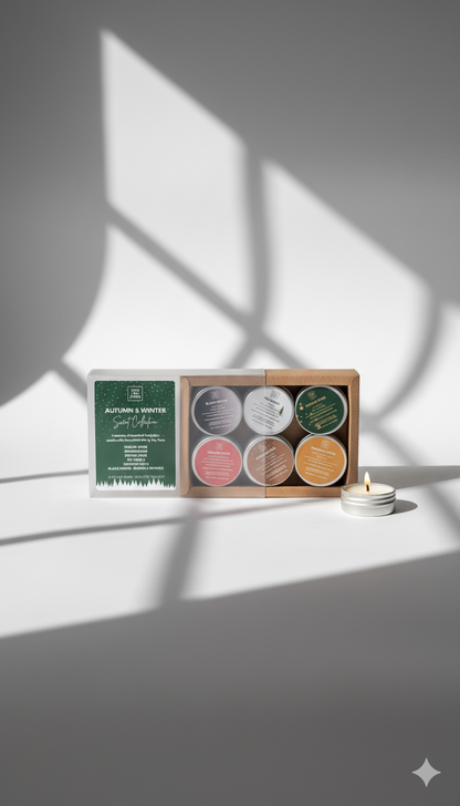 Autumn - Winter Discovery Collection