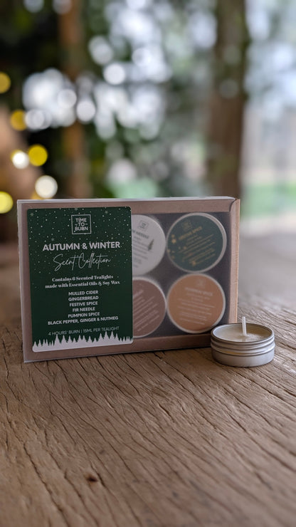 Autumn - Winter Discovery Collection