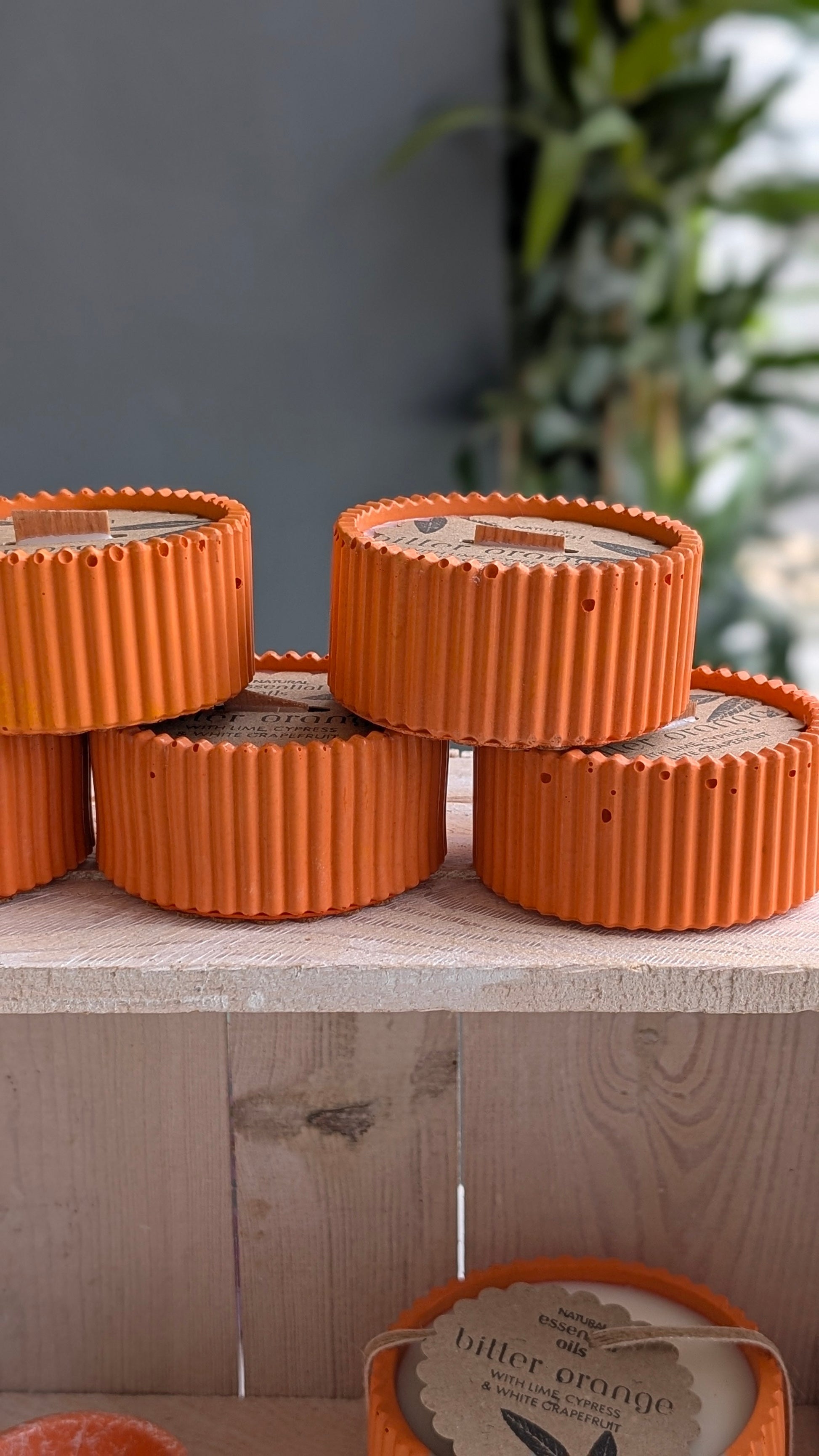 Bitter Orange Cypress & White Grapefruit 15 Hour Refillable Candle - Candle