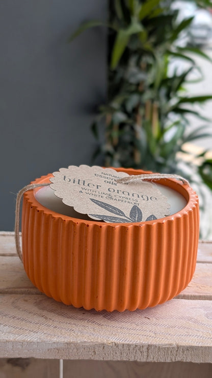Bitter Orange Cypress & White Grapefruit 40 Hour Candle - Candle