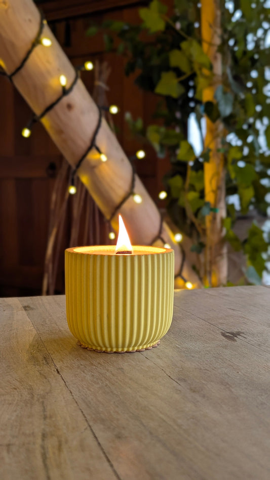 Citronella Blend | 40 Hour Candle - Candle