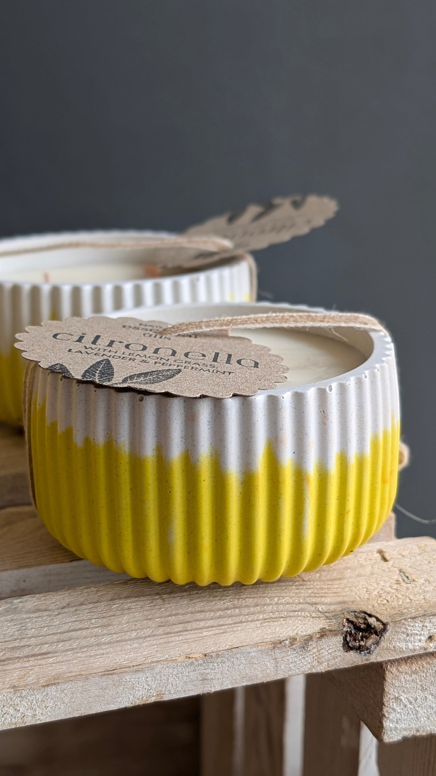 Citronella Mint Lemongrass & Lavender 40 Hour Candle - Candle