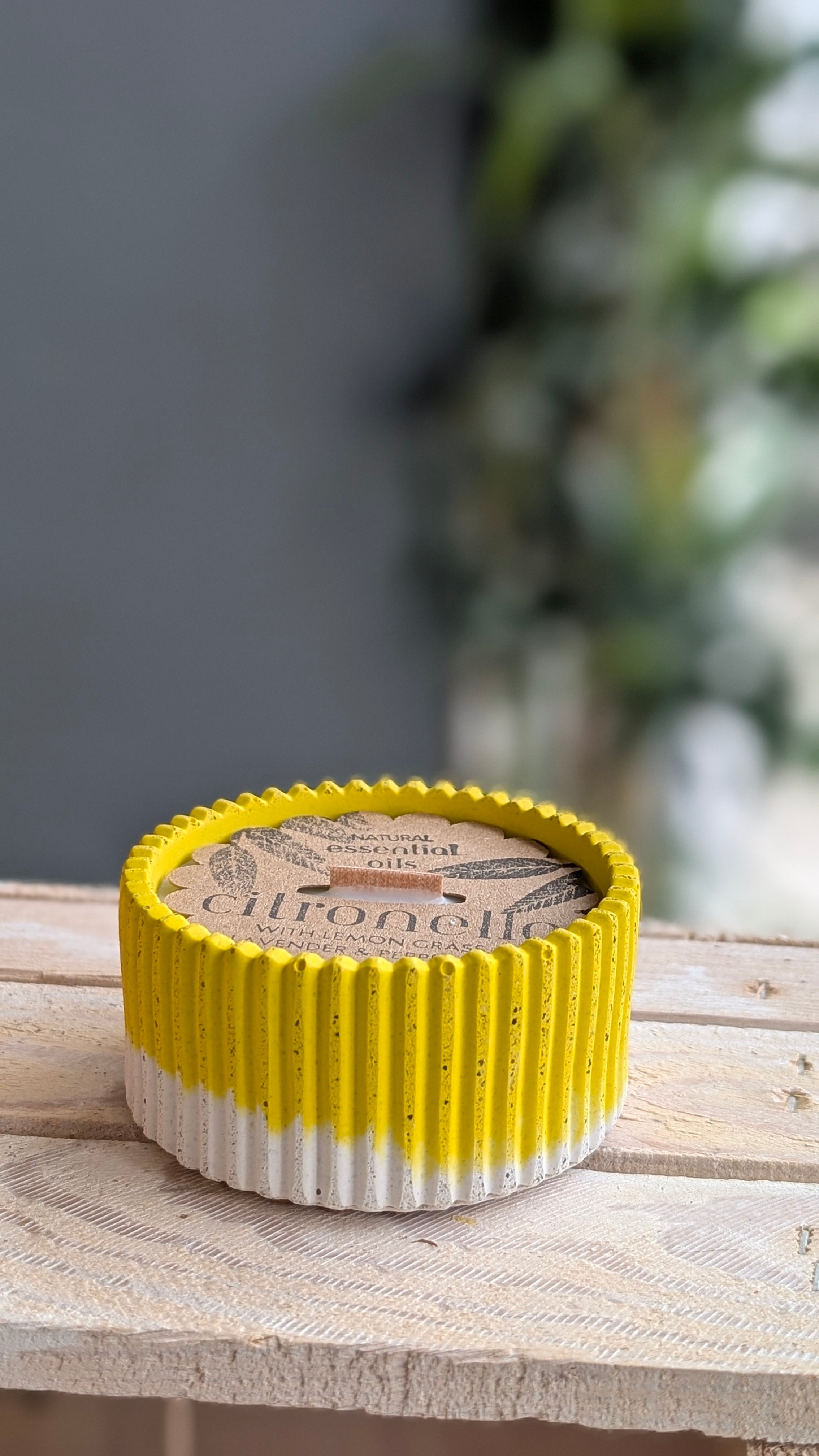 Citronella Mint Lemongrass & Lavender Refillable 15 Hour Candle - Candle