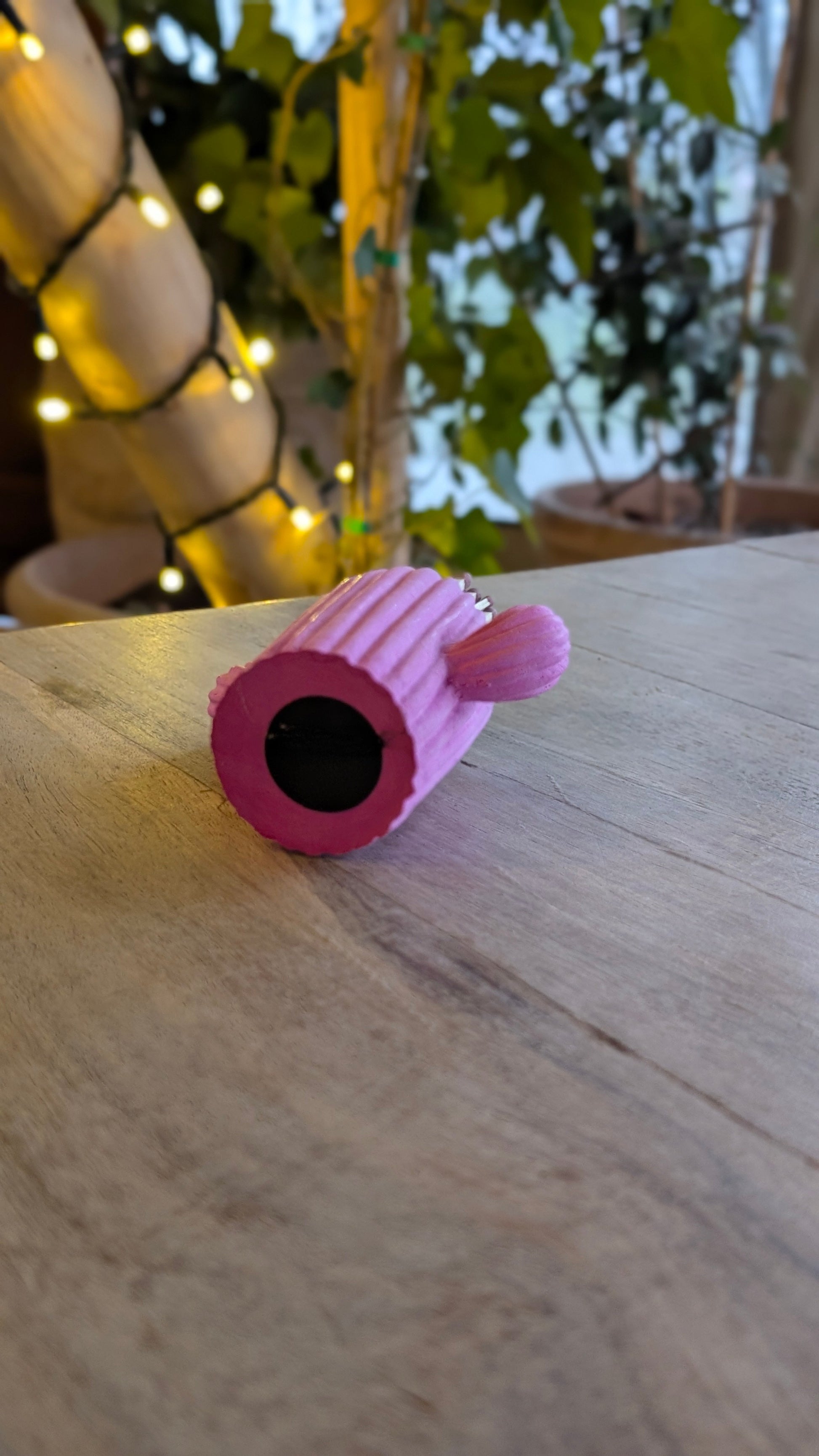 Clive the Pink Cactus Match Jar - Matches