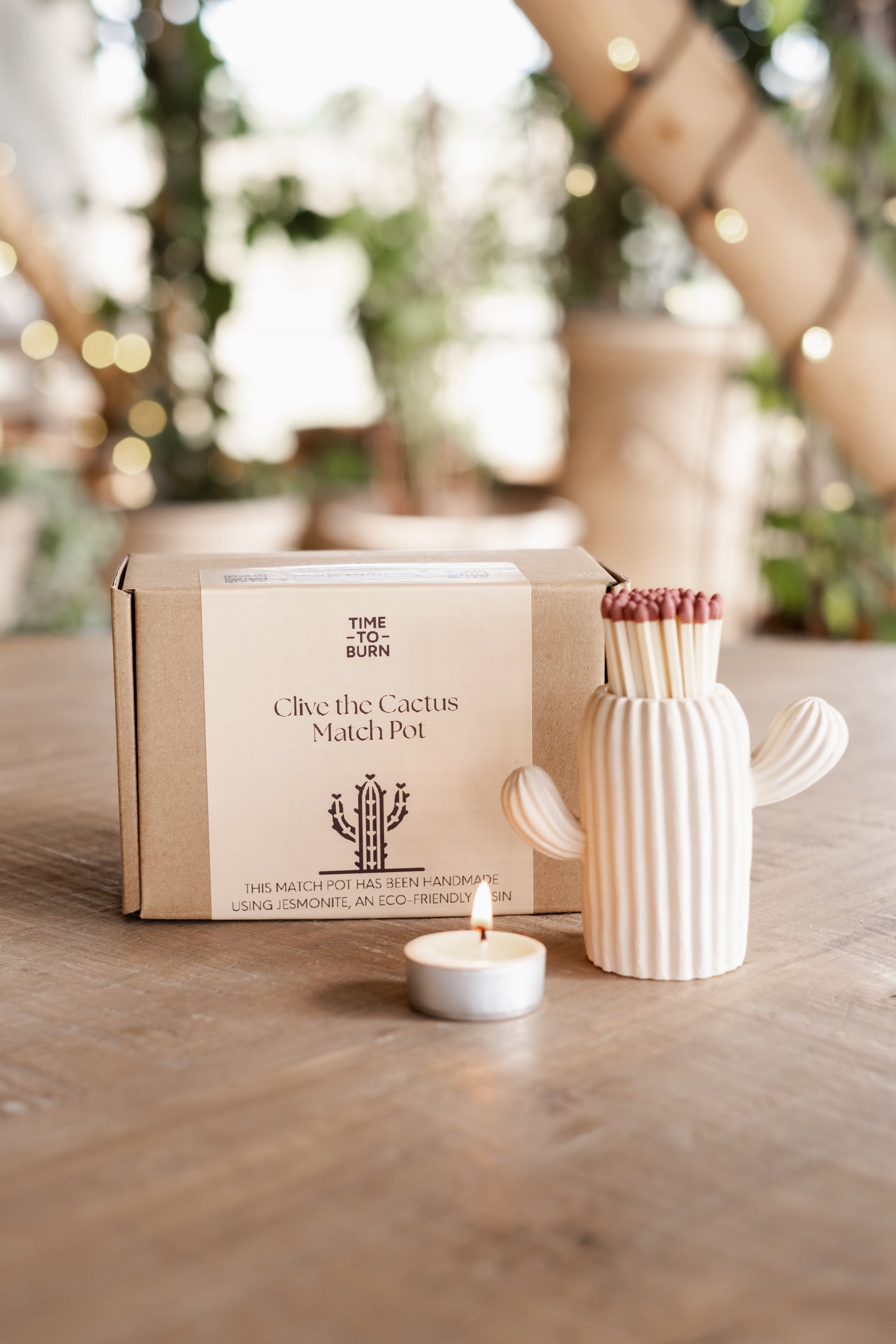 Clive the Stone Coloured Cactus Match Pot - Matches