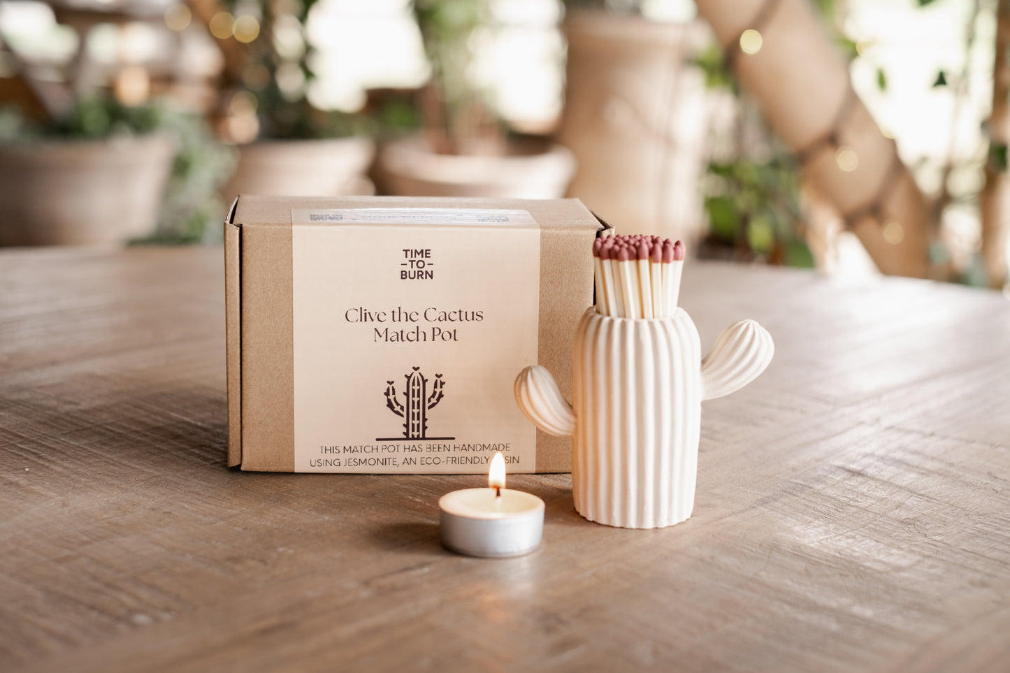 Clive the Stone Coloured Cactus Match Pot - Matches