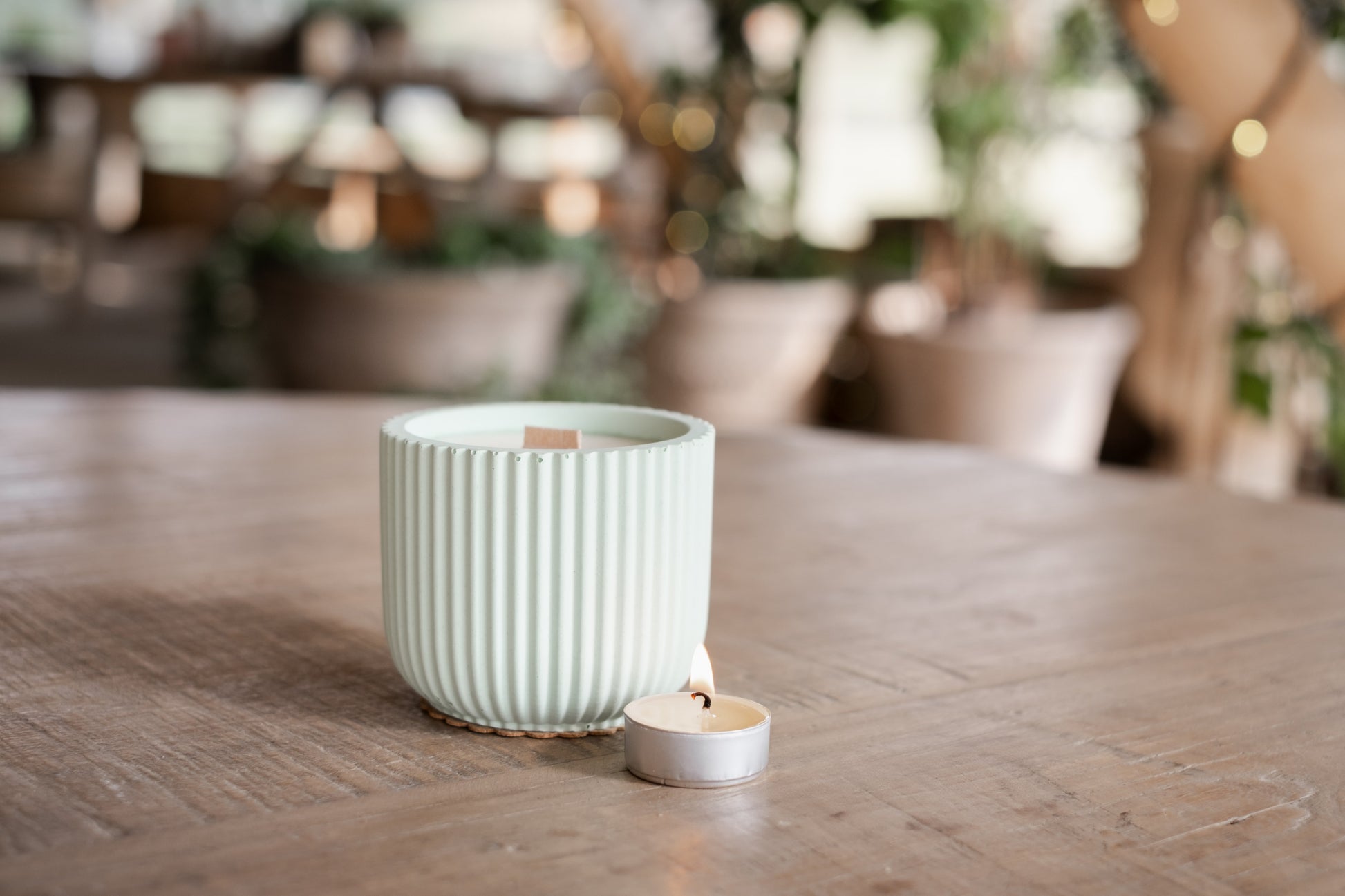 Eucalyptus Rose Geranium Lavender & Cedarwood | 40 Hour Refillable Candle - Candle