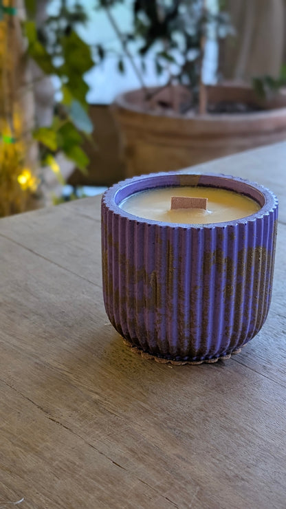 Ginger + Clove - 40 Hour Refillable Candle - Candle