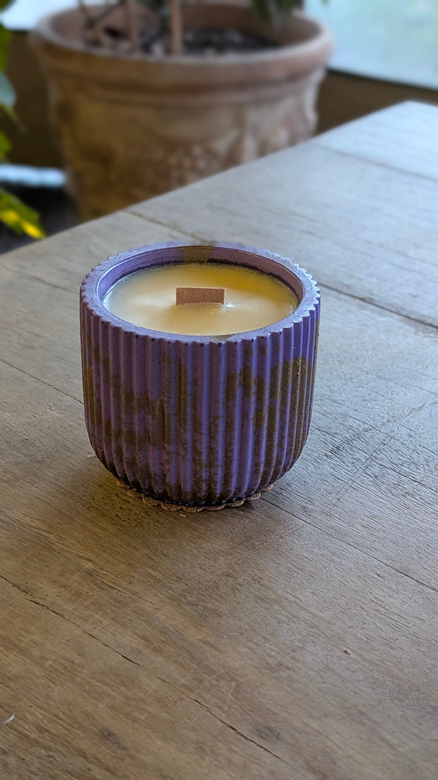 Ginger + Clove - 40 Hour Refillable Candle - Candle