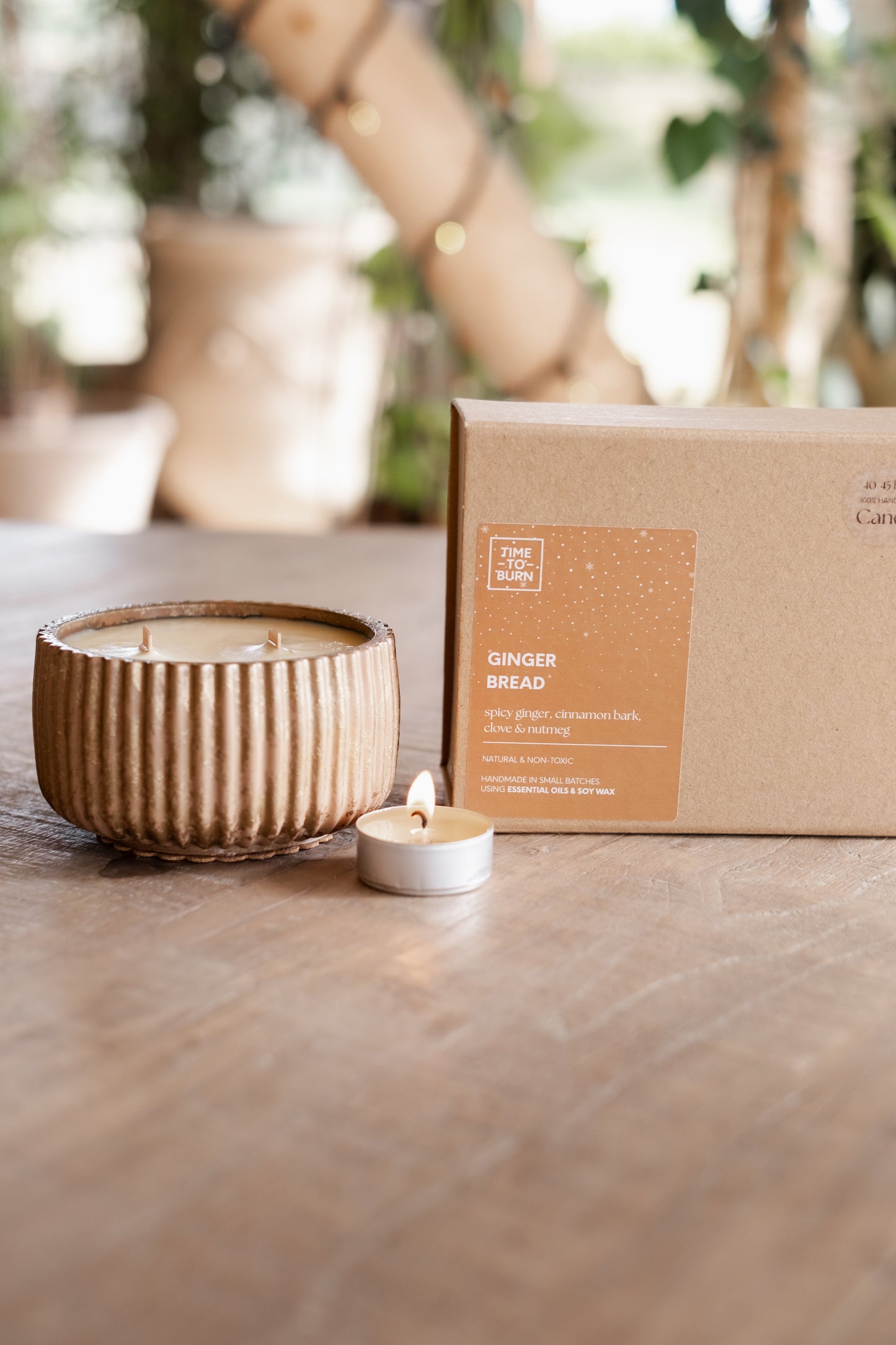 Gingerbread - 40 Hour Candle - Candle