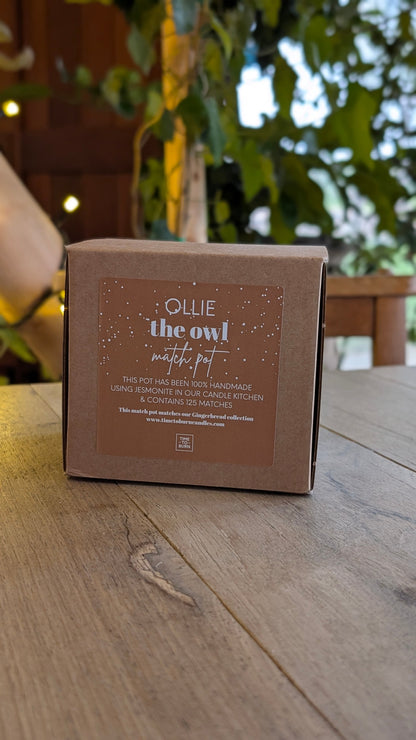 Ollie the Gingerbread Owl Match Jar - Matches