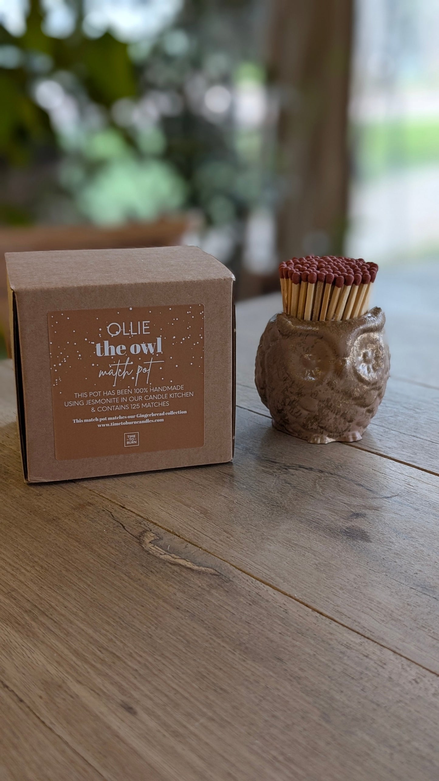Ollie the Gingerbread Owl Match Jar - Matches